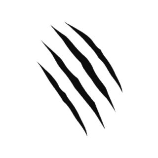Small Claw Scratch Pictures PNG images