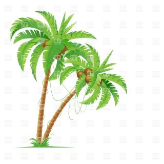 Download Coconut Tree Icon Clipart PNG images