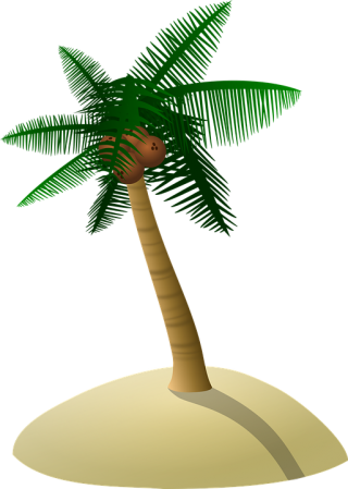 Palm Coconut Tree Icon Symbol PNG images
