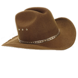 Brown Hat Cowboy Icon Png PNG images