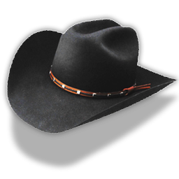 Hat Black Cowboy Icon Png PNG images