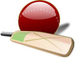 Cricket Ball Clipart Png PNG images