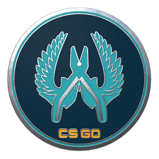 Csgo Collectible Pin Guardian Png Icon PNG images