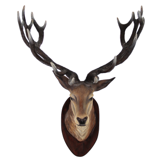 Clipart PNG Deer PNG images