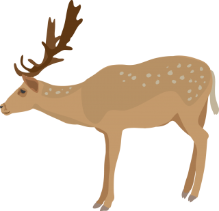 PNG Deer File PNG images