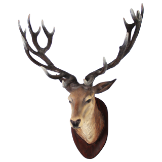 Clipart Png Deer Best PNG images