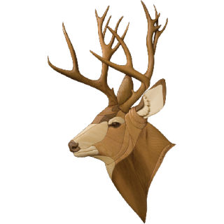 Best Free Deer Png Image PNG images