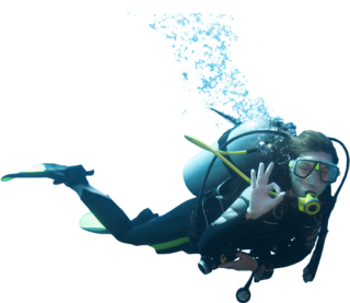 Dive Sport, Diving Png PNG images