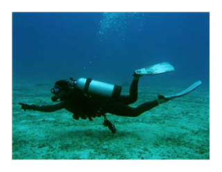 Scuba Diving Png PNG images