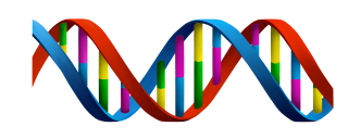  Colorful For Children Dna Images PNG images