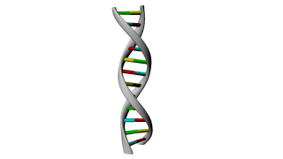  Like Gray Stairs Dna Photos PNG images