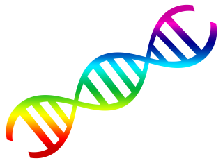  Rainbow Color Dna Pictures PNG images