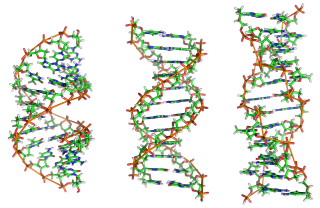  Wonderful Colorful Dna Picture PNG images