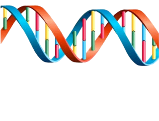 Colorful Park Dna Image PNG images