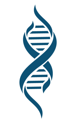 Hd Dna Png Transparent Background PNG images