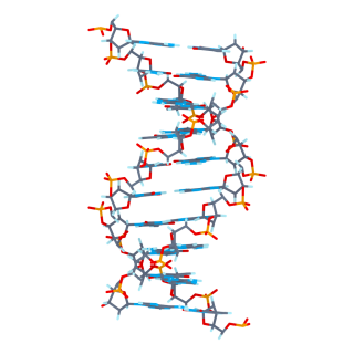 Humman Dna Image PNG images