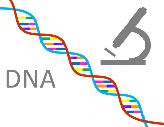 Laboratory Dna Photos PNG images