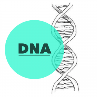 Nice Choice For Logo Dna Images PNG images