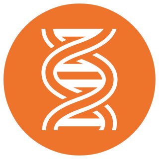 Ornage And White Dna High-quality Pictures PNG images