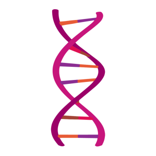 Purple AndDna Designs Photo PNG images