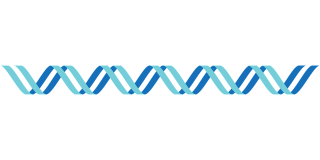 Single Strip Format Dna PNG Picture PNG images