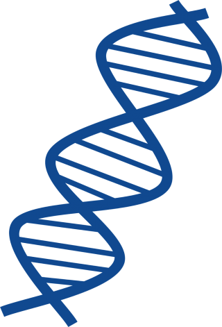 Thin And Blue Dna Transparent Image PNG images