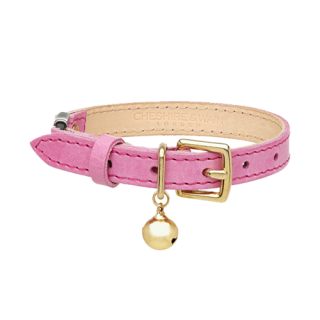 Beige And Gold Pink Dog Collar Picture PNG images
