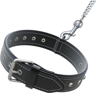 Dog Collar Black Leather Belt Pictures PNG images