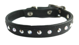 Dog Collar Custom Black Transparent Photos PNG images