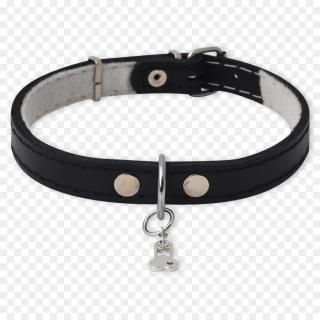 Dog Collar Transparent Image PNG images