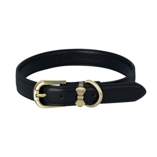 Elegant Dog Collar Transparent Background Png Hd PNG images