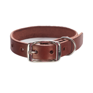 Photos And Metal Dog Collar Belt Dark Brown PNG images