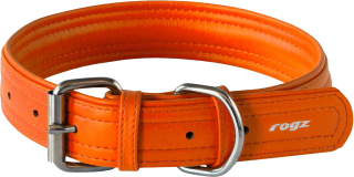 Rogi Dog Collar Orange Belt Pictures PNG images