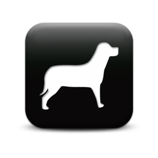Icons Dog Png Download PNG images