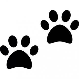 Dog Paws Prints Icon PNG images