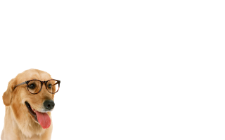 Download Free High-quality Dog Png Transparent Images PNG images