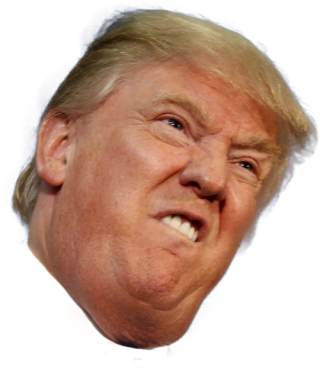Donald Trump Png Available In Different Size PNG images