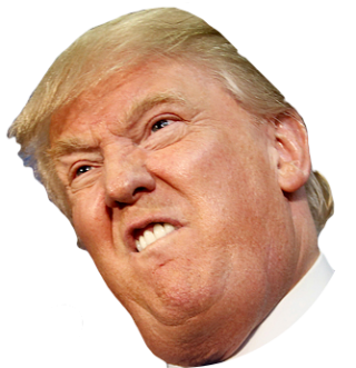 Best Clipart Donald Trump Png PNG images
