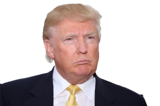 Png Format Images Of Donald Trump PNG images