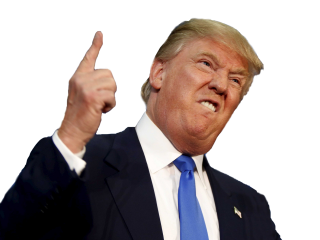 Download Icon Vectors Free Donald Trump PNG images