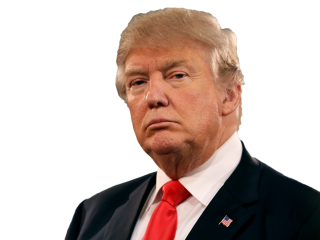 Vector Png Download Free Donald Trump PNG images
