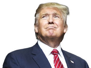 Png Format Images Of Donald Trump PNG images