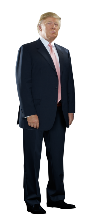 Browse And Download Donald Trump Png Pictures PNG images