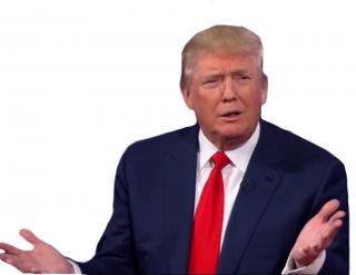 Donald Trump Png Clipart Best PNG images