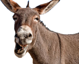 Comic Donkey Face Png Image PNG images
