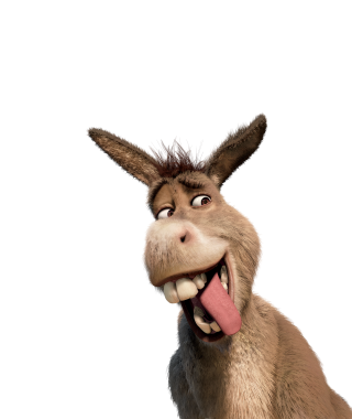 Burro transparent background PNG cliparts free download