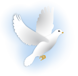 Dove PNG, Dove Transparent Background - FreeIconsPNG