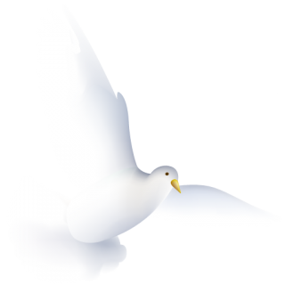 Dove Wedding Png Icon PNG images