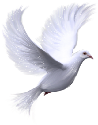 Dove PNG, Dove Transparent Background - FreeIconsPNG