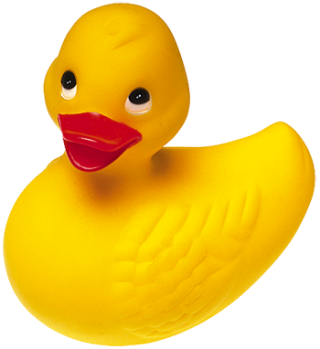 Duck Png Available In Different Size PNG images
